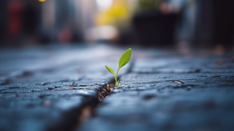 The Science of Resilience - Saturday 31 August