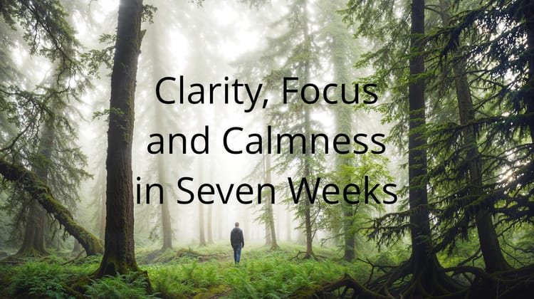 Clarity, Focus and Calmness in Seven weeks